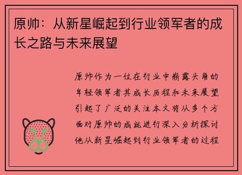 原帅：从新星崛起到行业领军者的成长之路与未来展望
