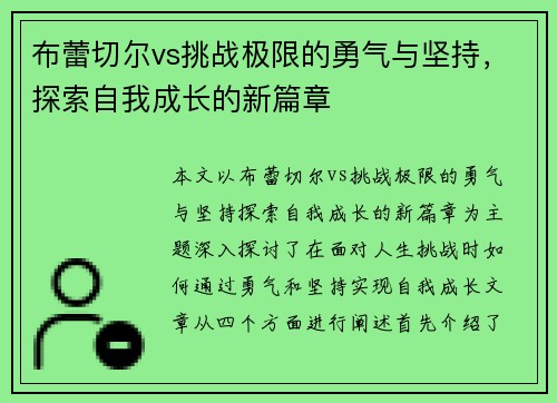 布蕾切尔vs挑战极限的勇气与坚持，探索自我成长的新篇章