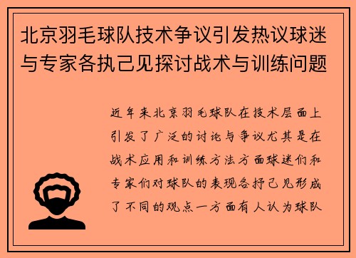 北京羽毛球队技术争议引发热议球迷与专家各执己见探讨战术与训练问题